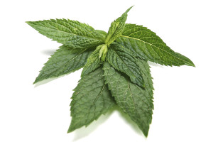 peppermint-herb-leaves
