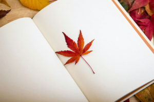 book-autumn-leaf-1200x800px