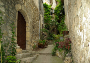medieval-street-stone-buildings-plants