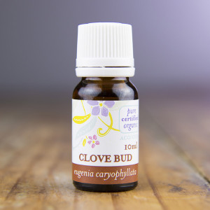 clove-bud-pure-organic-essential-oil-bottle-10ml