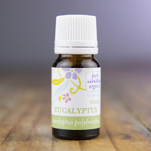 eucalyptus-pure-organic-essential-oil-bottle-10ml